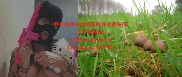 прущие грибы Алексин